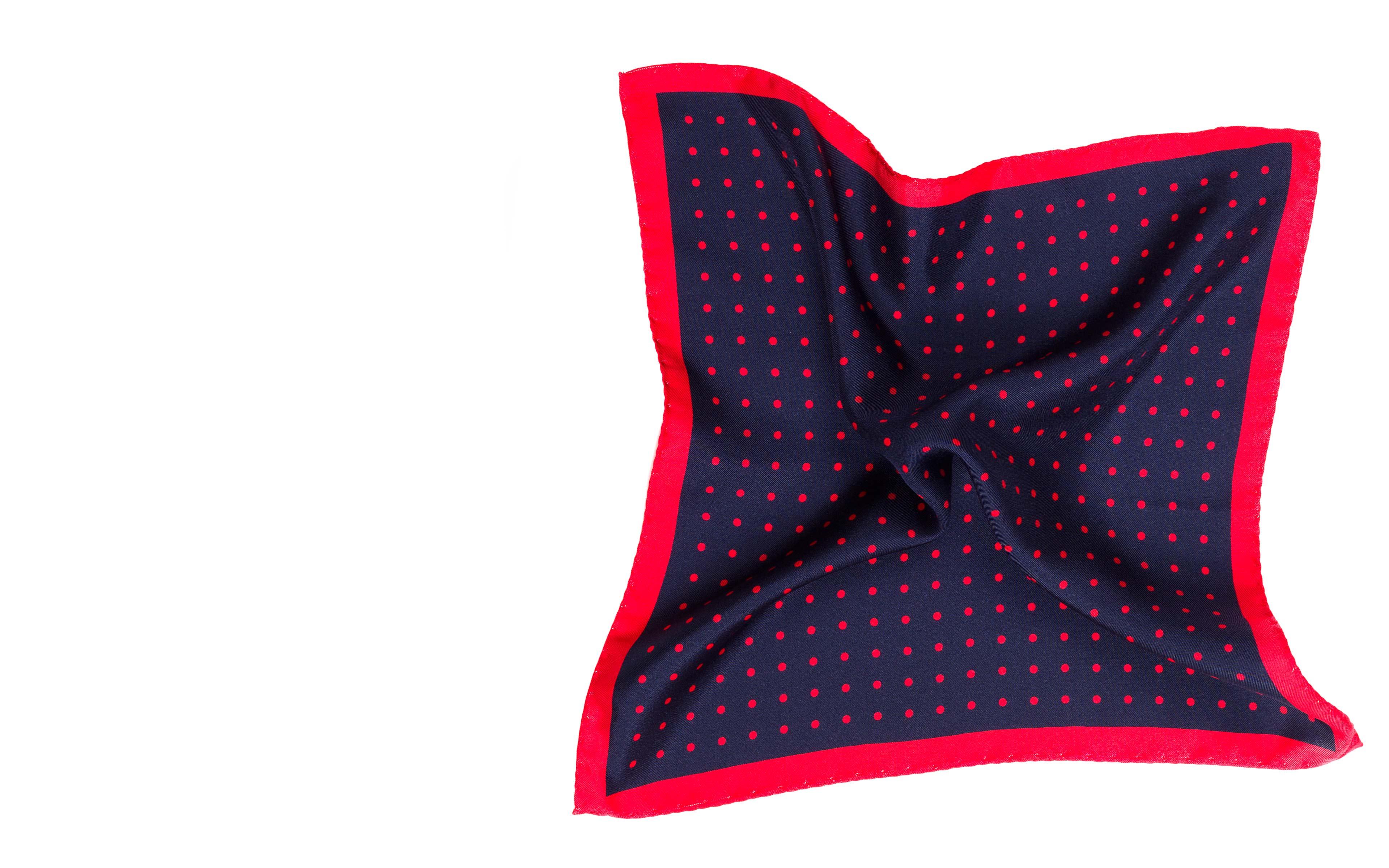 Navy & Red Dotted Italian 100% Silk Pocket Square